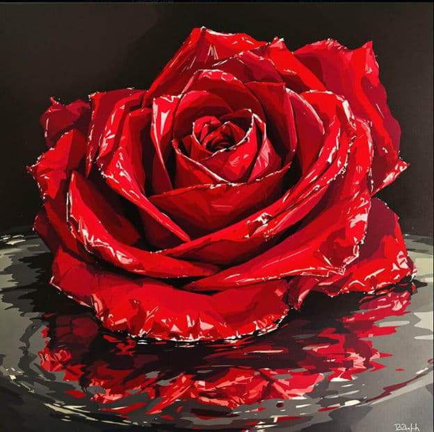 Red Rose Glossy Black Water