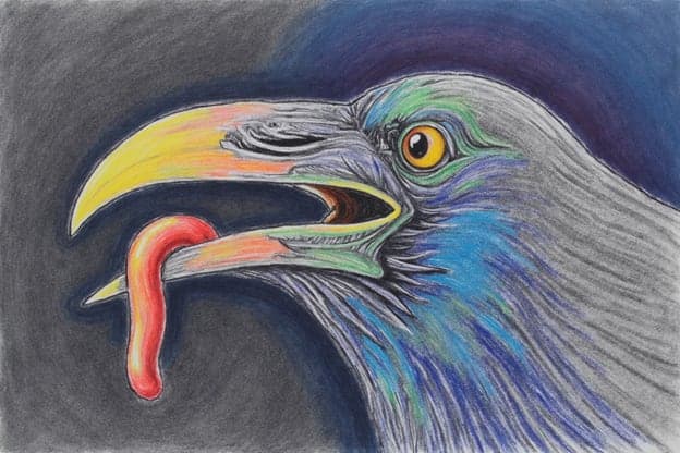 Colored Pencil Raven Profile Red Worm Gray Bg
